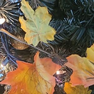 Collector oriental 10" plates